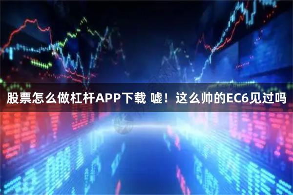 股票怎么做杠杆APP下载 嘘！这么帅的EC6见过吗