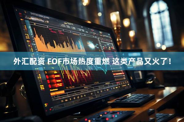 外汇配资 FOF市场热度重燃 这类产品又火了！